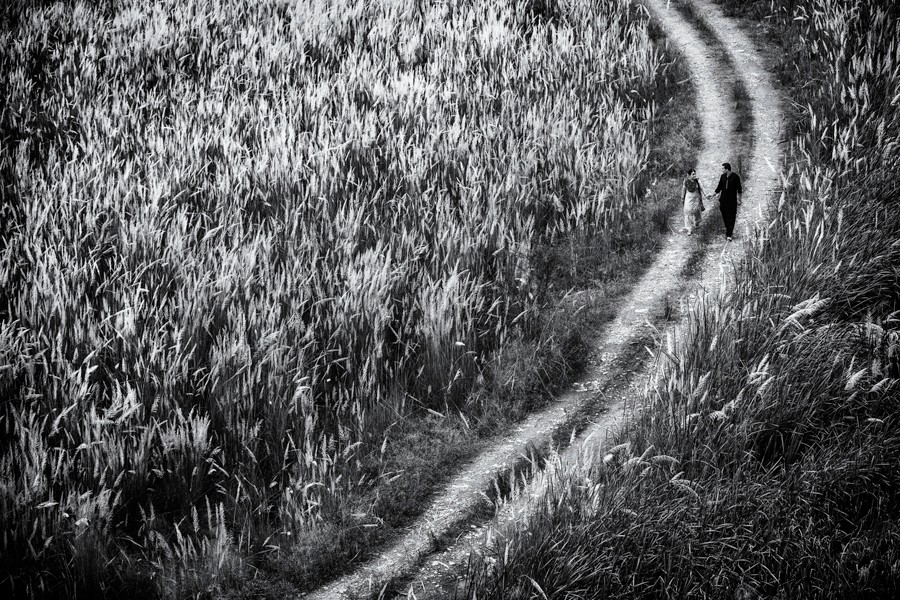 Sandeep Mohan portfolio photo