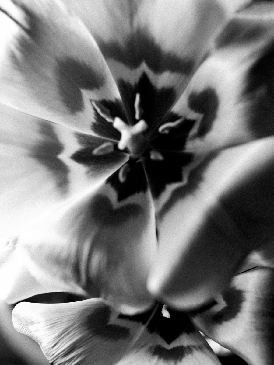 Florian Pinkernell portfolio photo