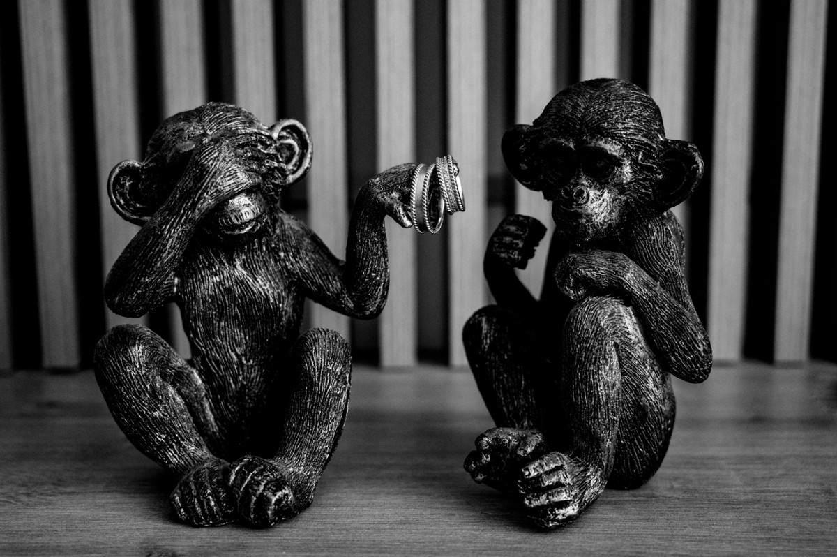 Gabriel Andrei portfolio photo