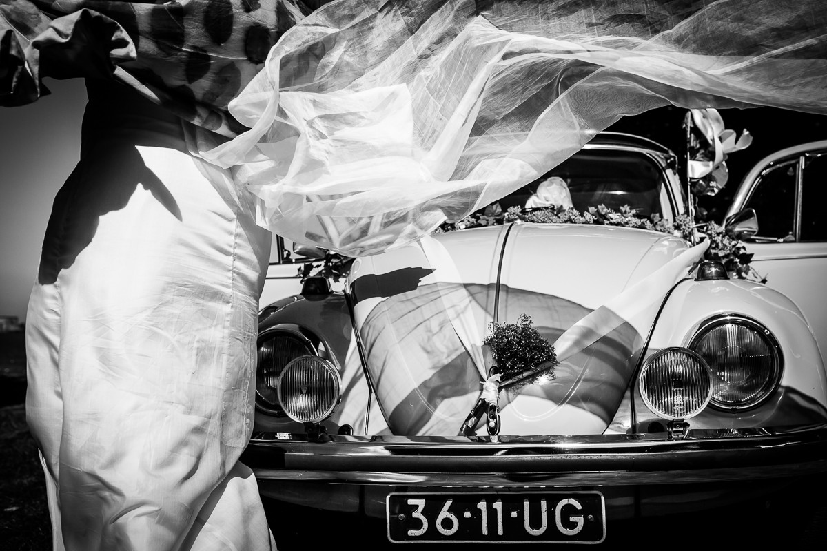 Heleen Klop portfolio photo
