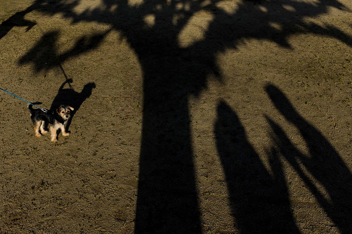 Ian Chin portfolio photo