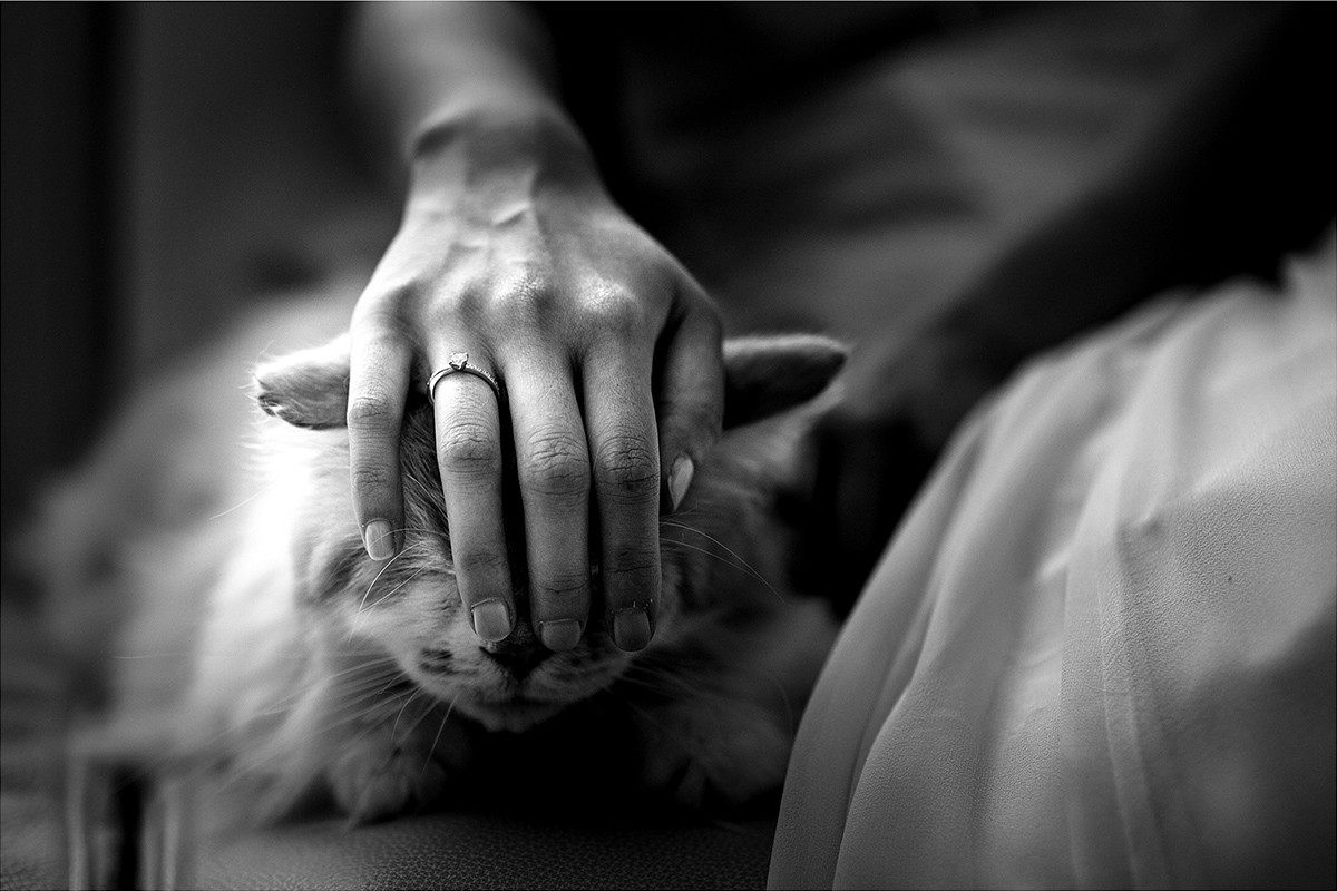 Ivo Popov portfolio photo