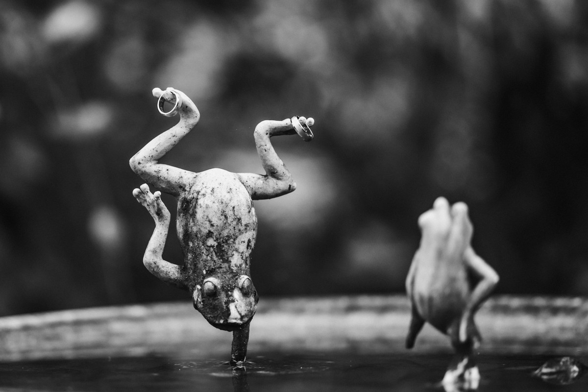 Jagdish Boodoosingh portfolio photo