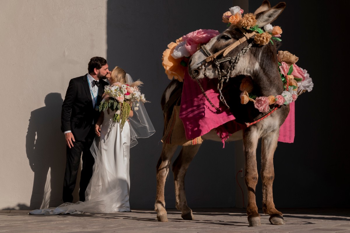 Jorge Alcala Goded portfolio photo