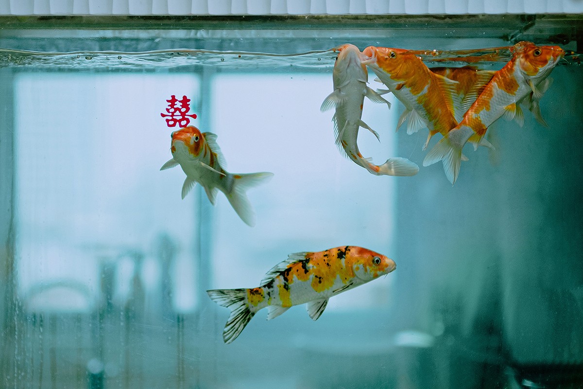 Junxin Zeng portfolio photo
