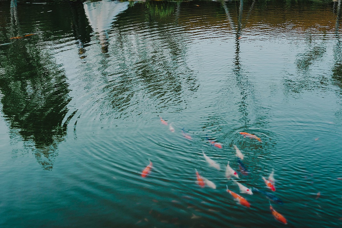 Junxin Zeng portfolio photo
