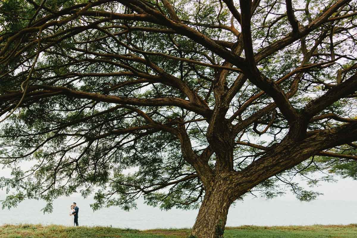 Kael Lam portfolio photo