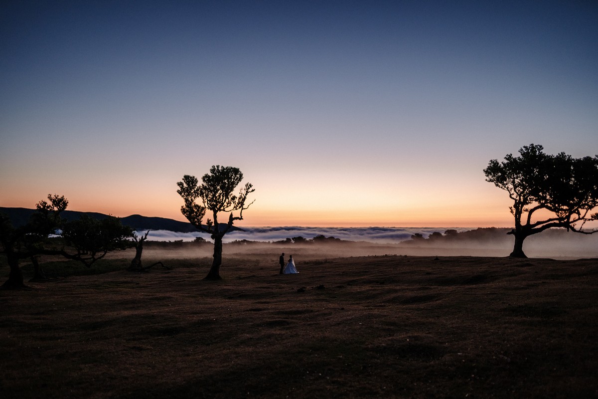 Lauro Santos portfolio photo