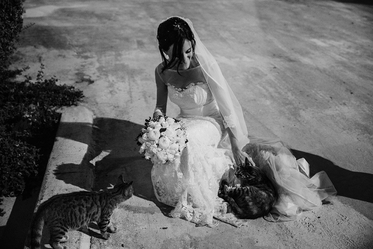 Marco Torcivia portfolio photo