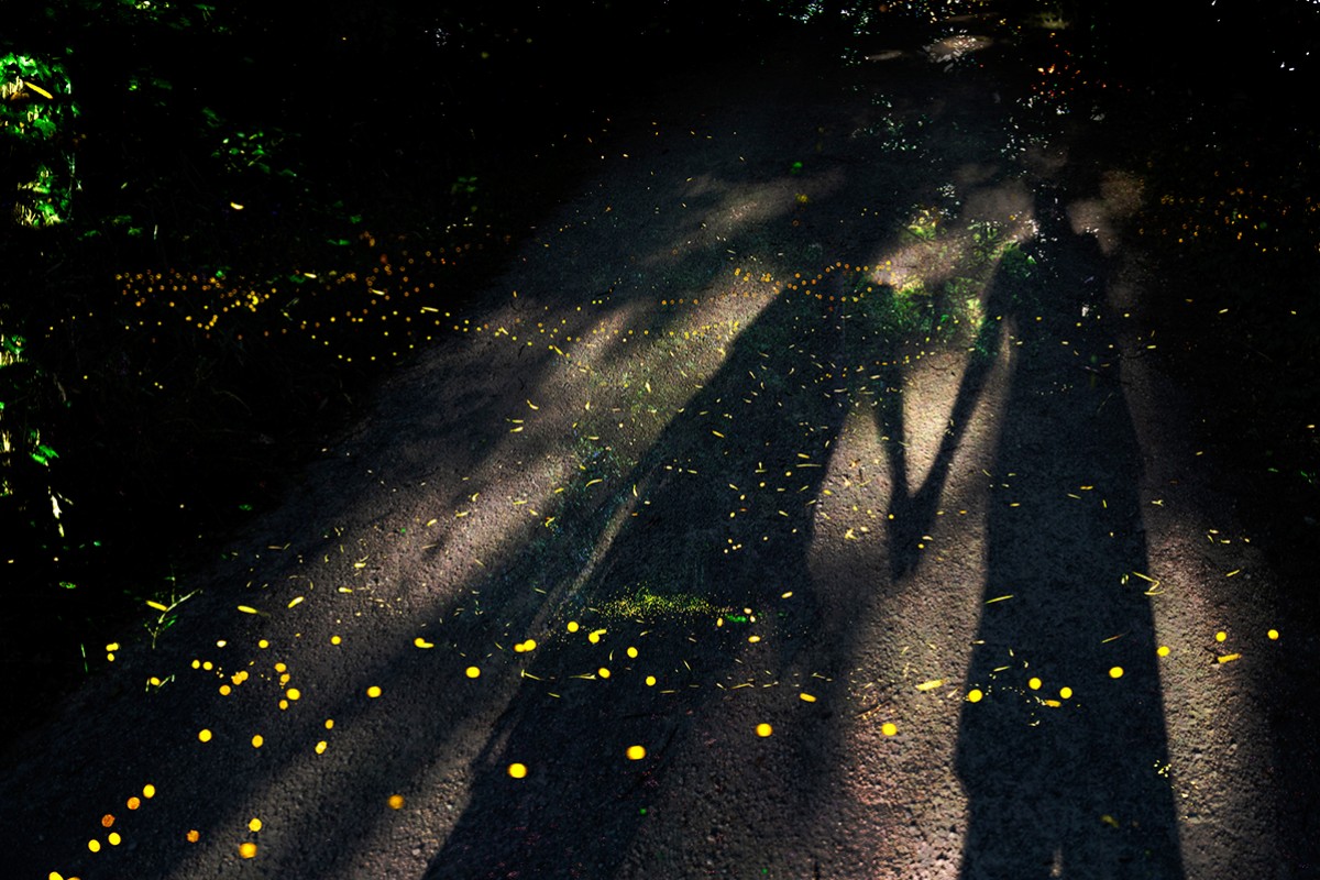 Matteo Del Vecchio featured photo