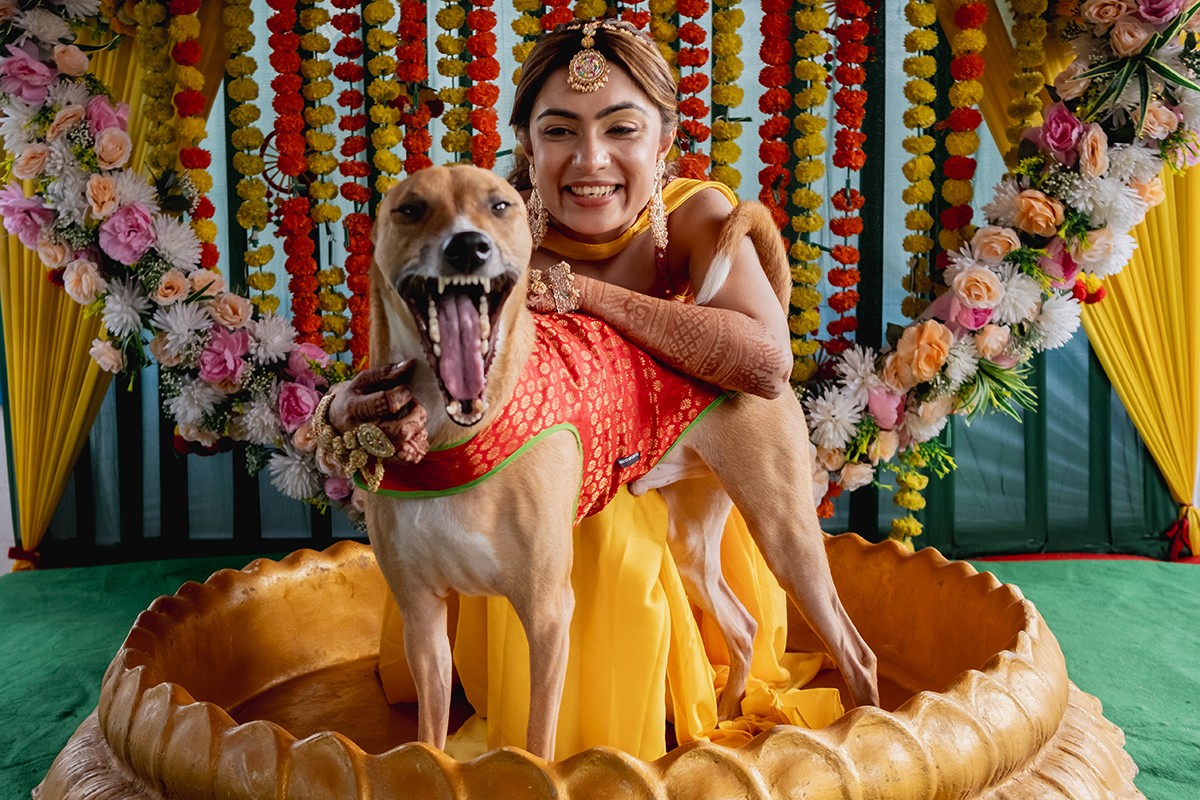 Niklesh Malkani portfolio photo