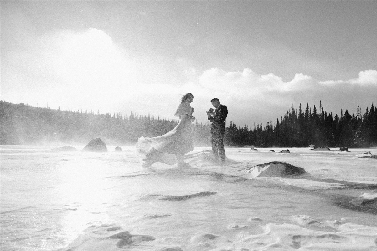 Nina Larsen Reed portfolio photo