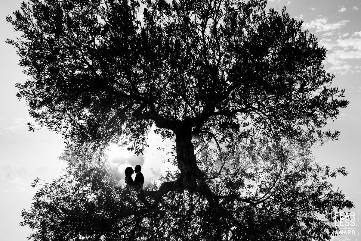 Nino Lombardo featured photo