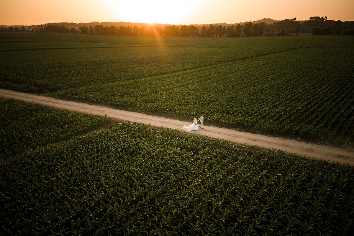 Nuno Lopes portfolio photo