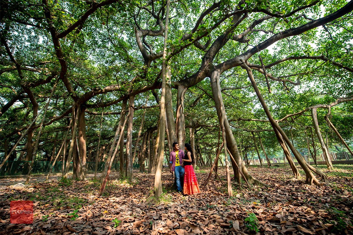 Prithu De portfolio photo
