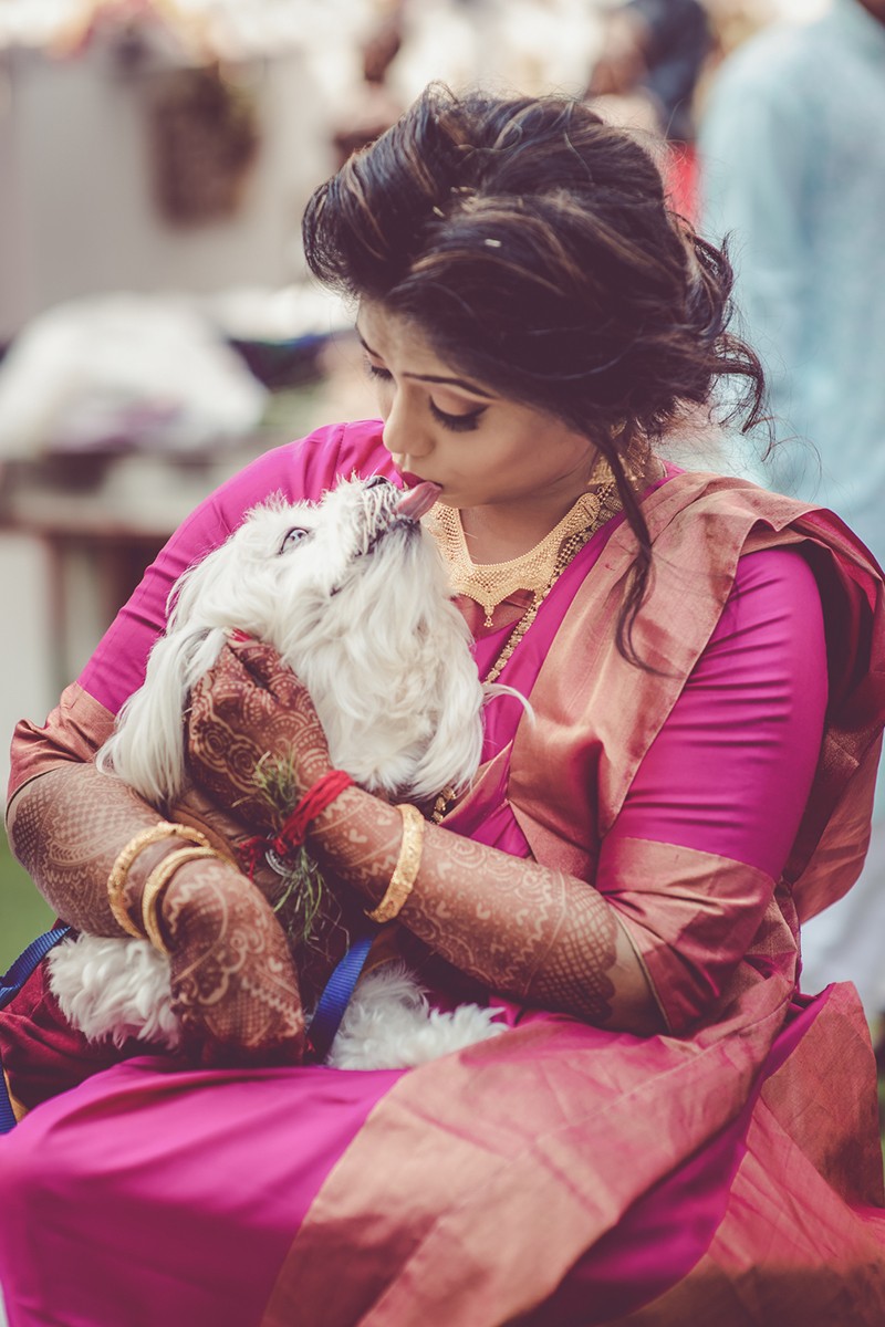 Prithu De portfolio photo