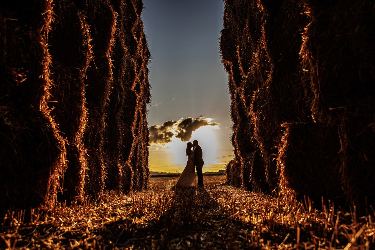 Rafe Abrook portfolio photo