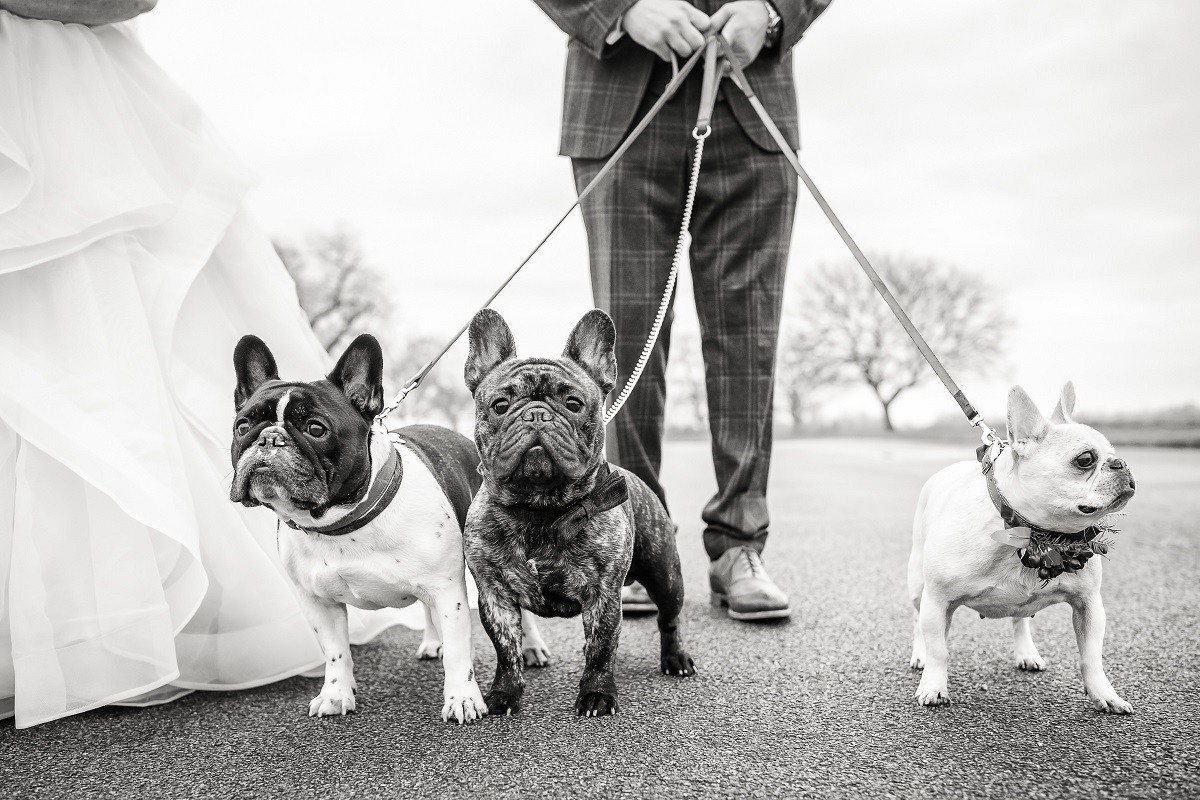 Rafe Abrook portfolio photo