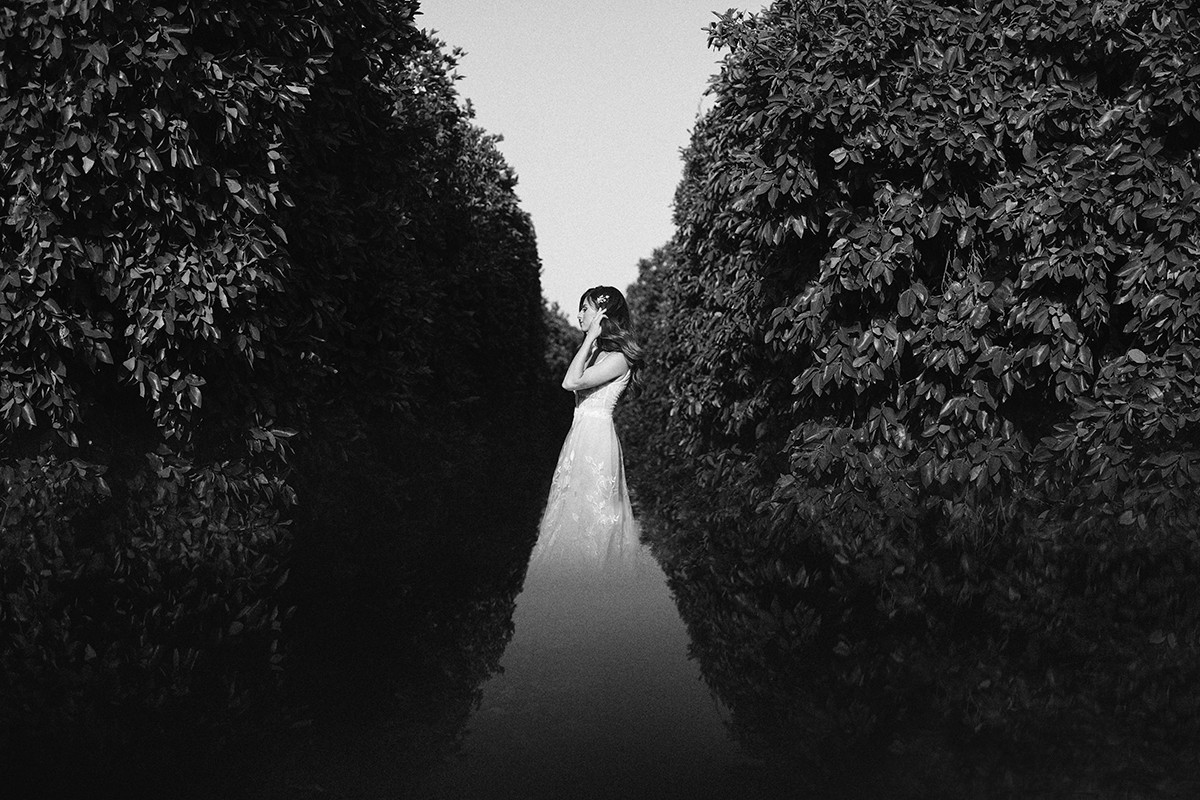 Shahar Vin portfolio photo