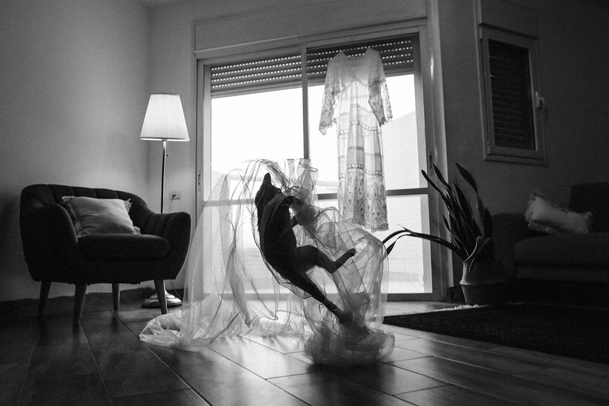 Shahar Vin portfolio photo