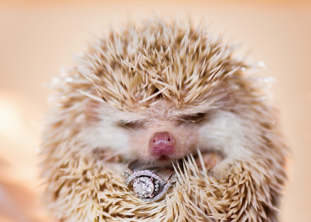Shelly Beck portfolio photo