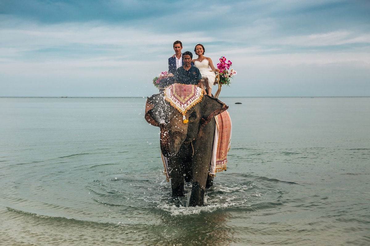 Steve Lee portfolio photo