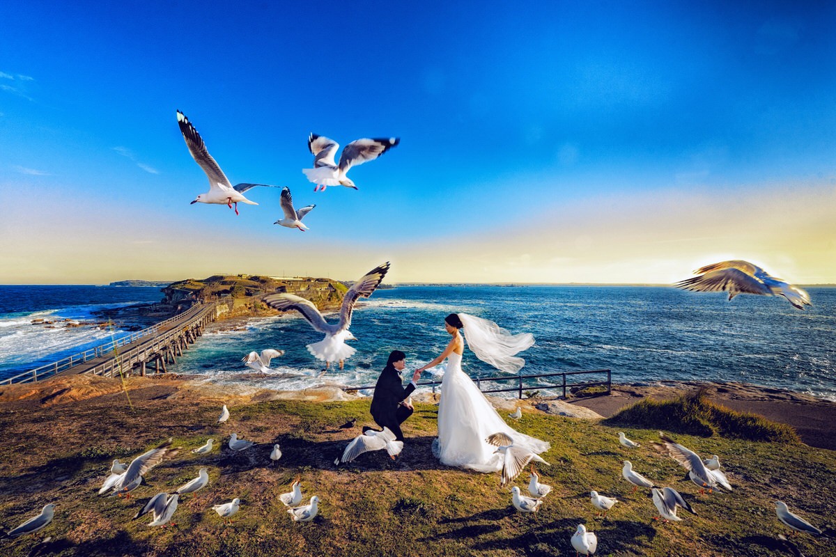 Tam Tran portfolio photo