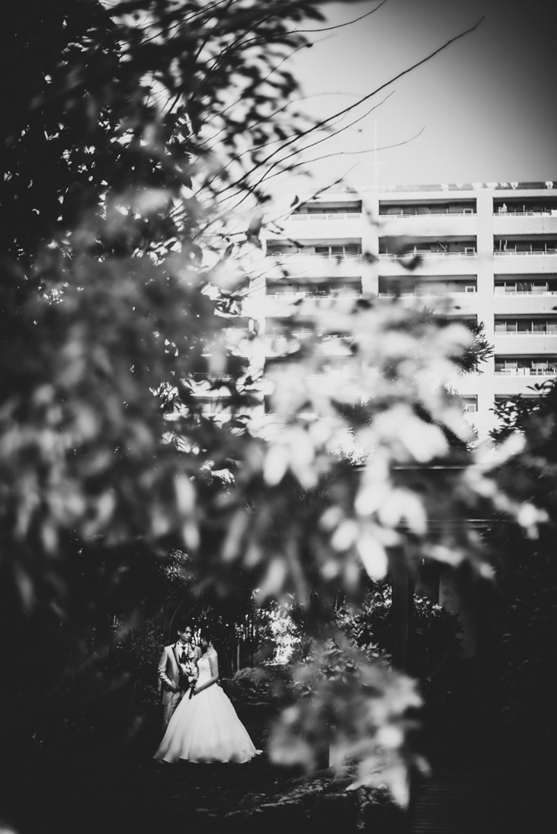 Taro Iwanaga portfolio photo