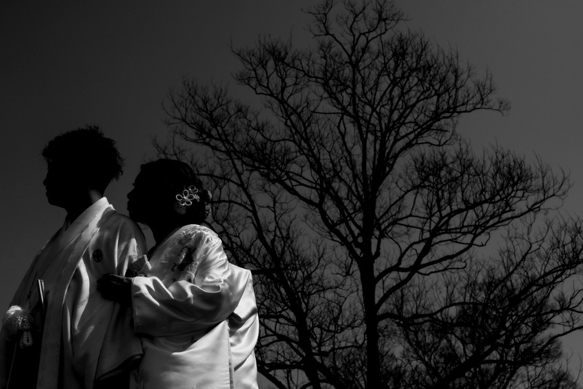Taro Iwanaga portfolio photo