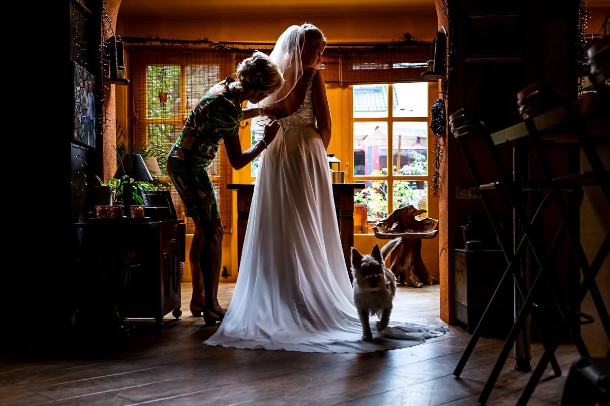 Teun Bakker portfolio photo