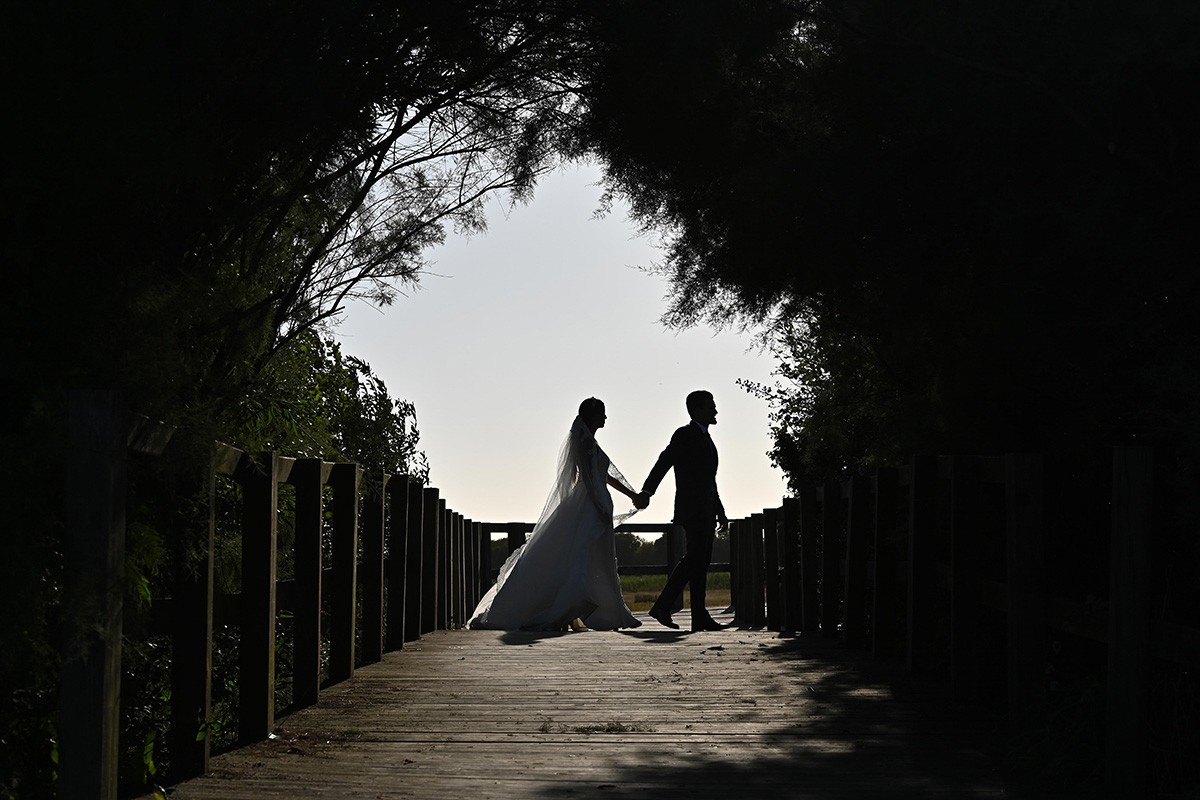 Toze Nunes portfolio photo