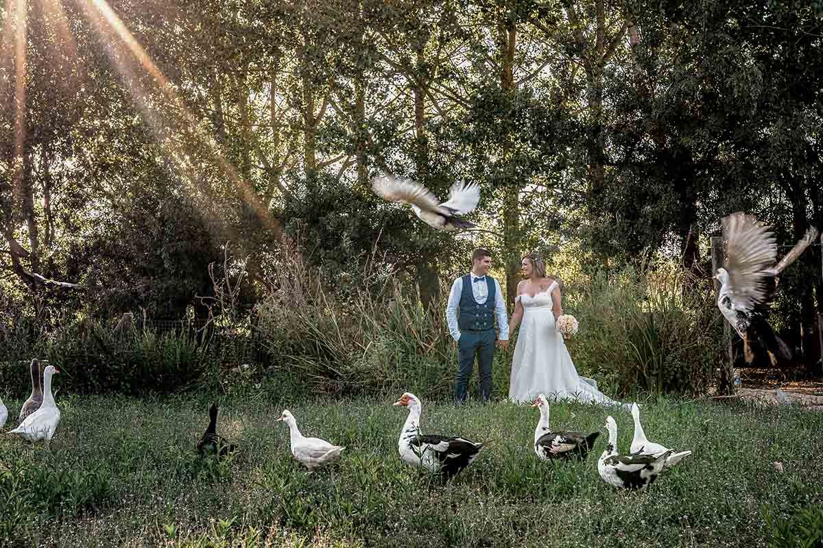 Toze Nunes portfolio photo