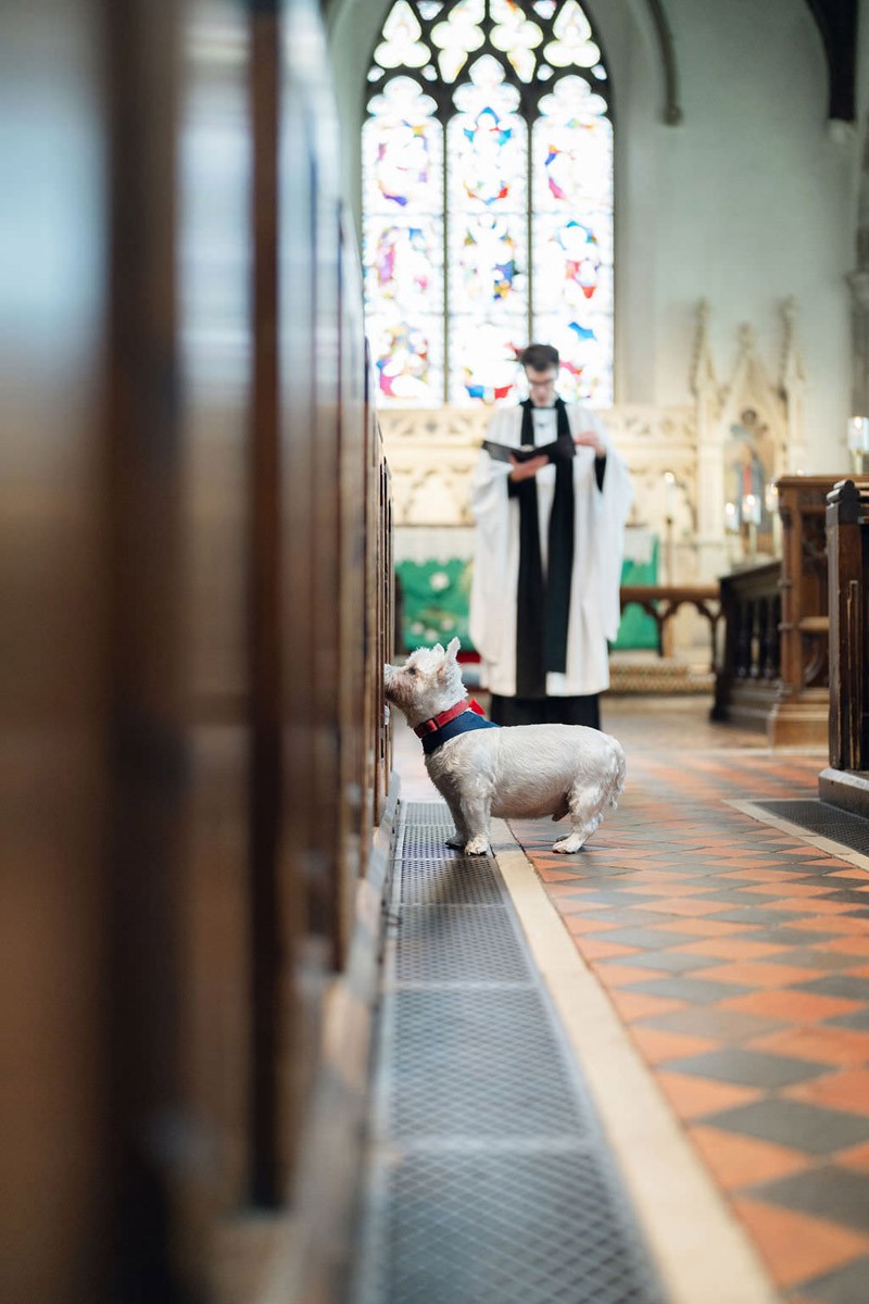 Tracey Davies portfolio photo