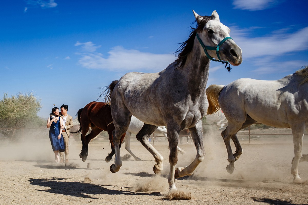 Ufuk Sarisen portfolio photo