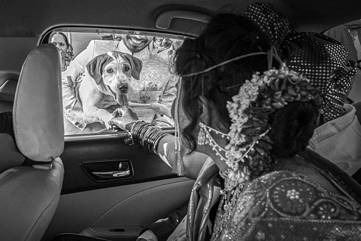 Vishal Khare portfolio photo