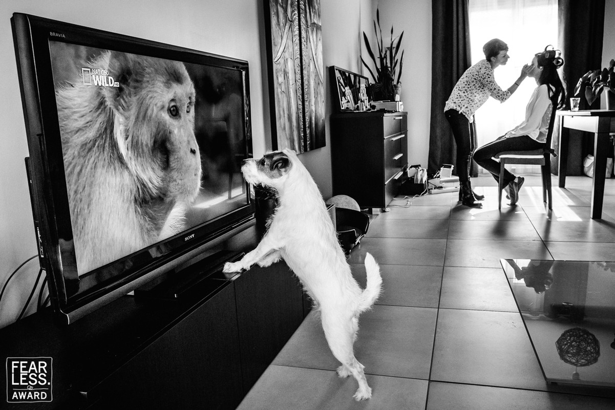 William Lambelet featured photo