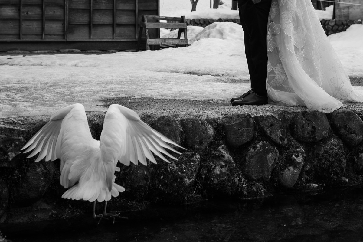 Yousuke Shimada portfolio photo