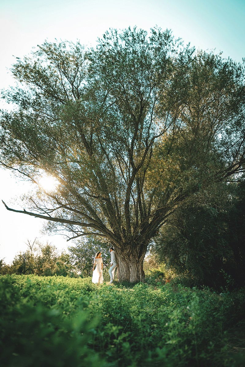 Özer Paylan portfolio photo