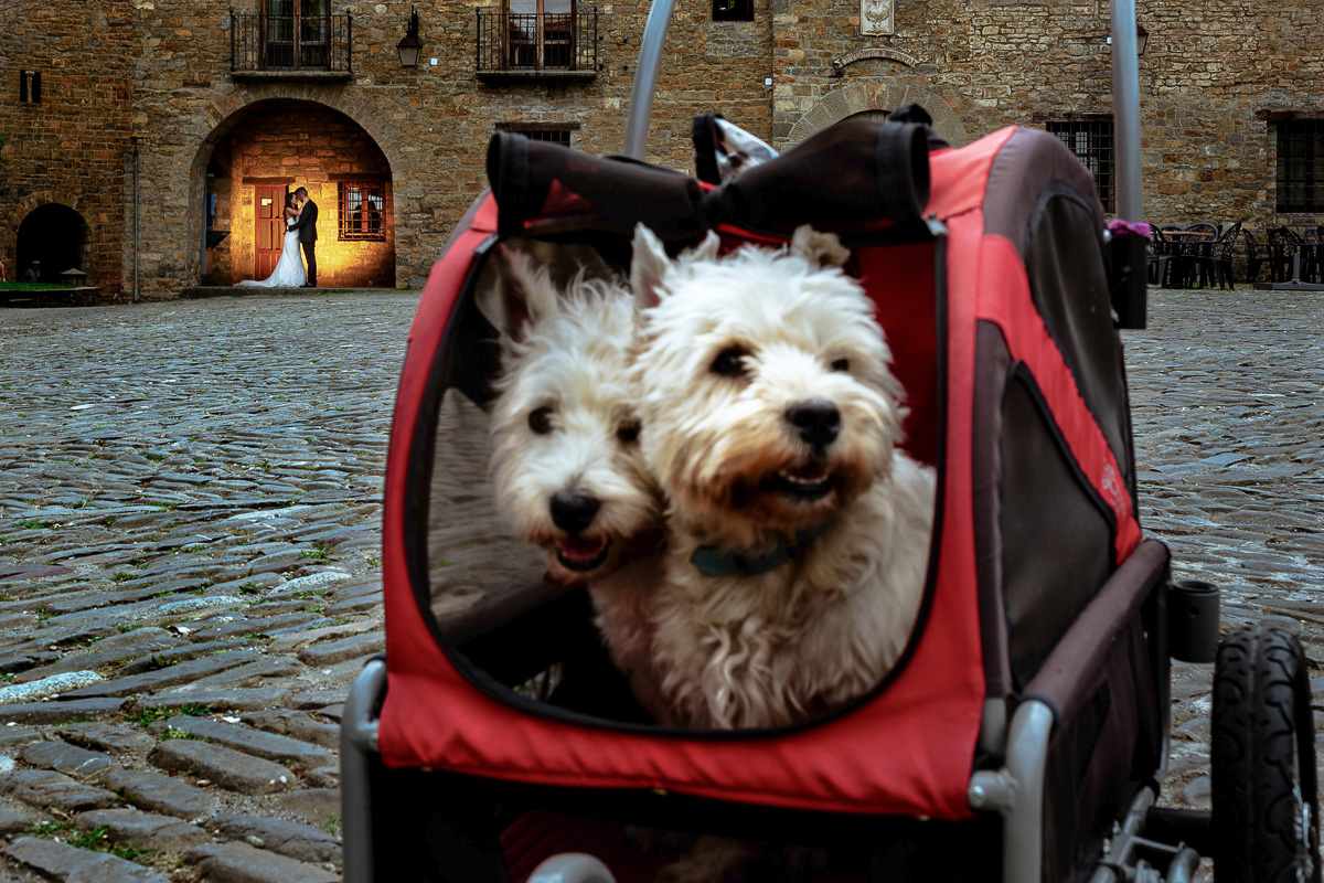 Miguel Ángel Muniesa