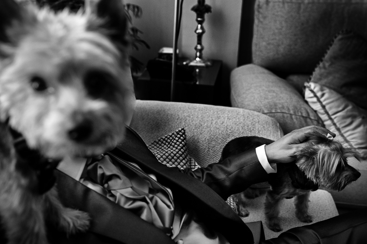 Miguel Ángel Muniesa