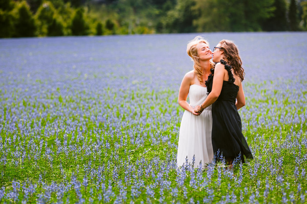 Peter van der Lingen