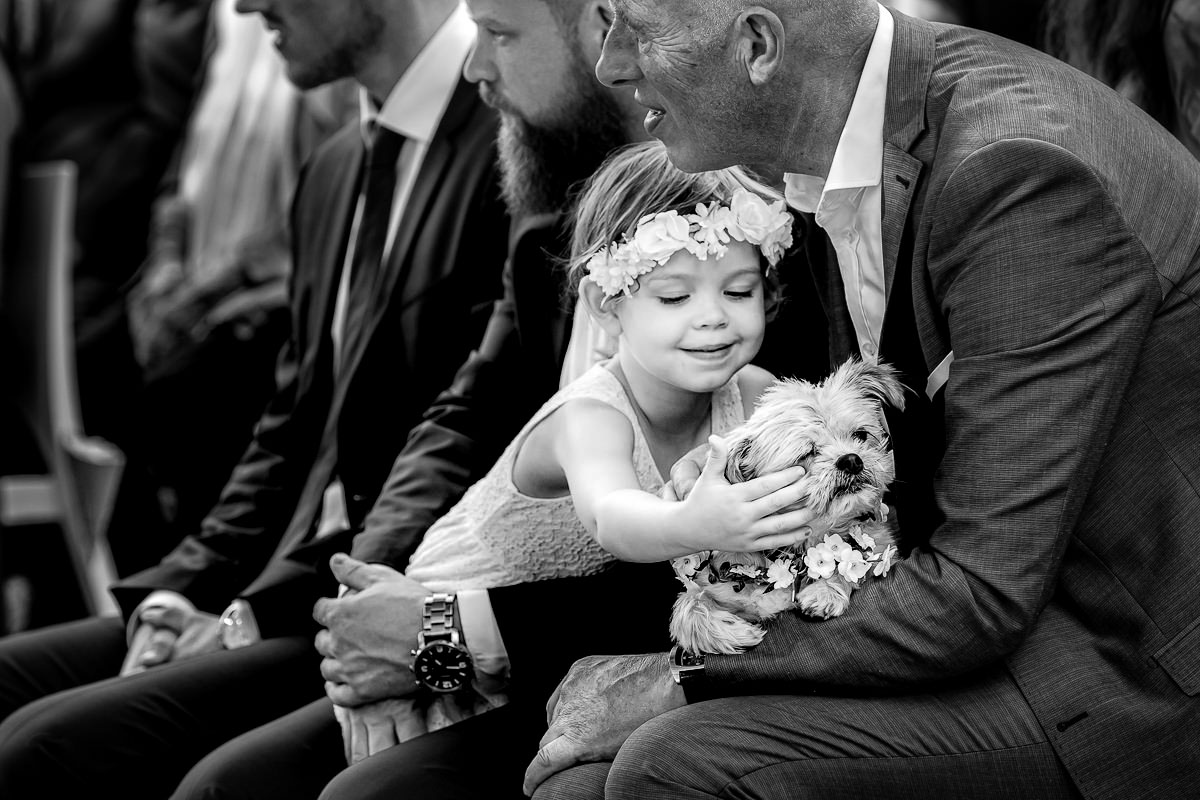 Peter van der Lingen