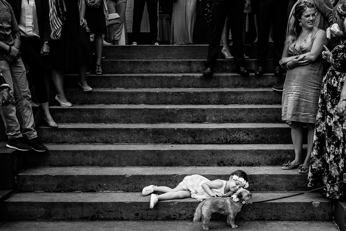 Peter van der Lingen