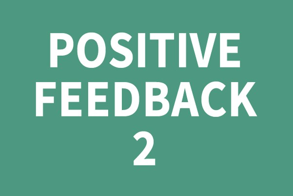 Positive Feedback 2